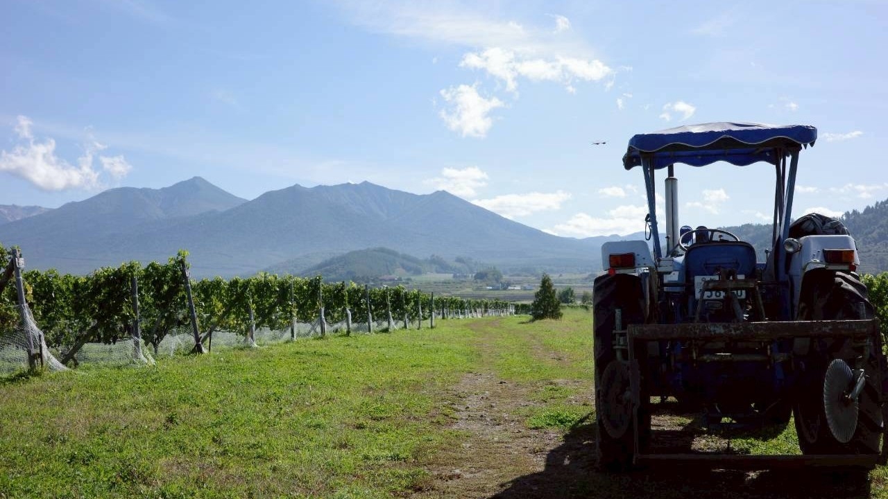 ぶどう・ワイン農家の宿【素泊まり】｜田園風景の中で過ごす｜朝のささやかな一品・手作り野菜まん