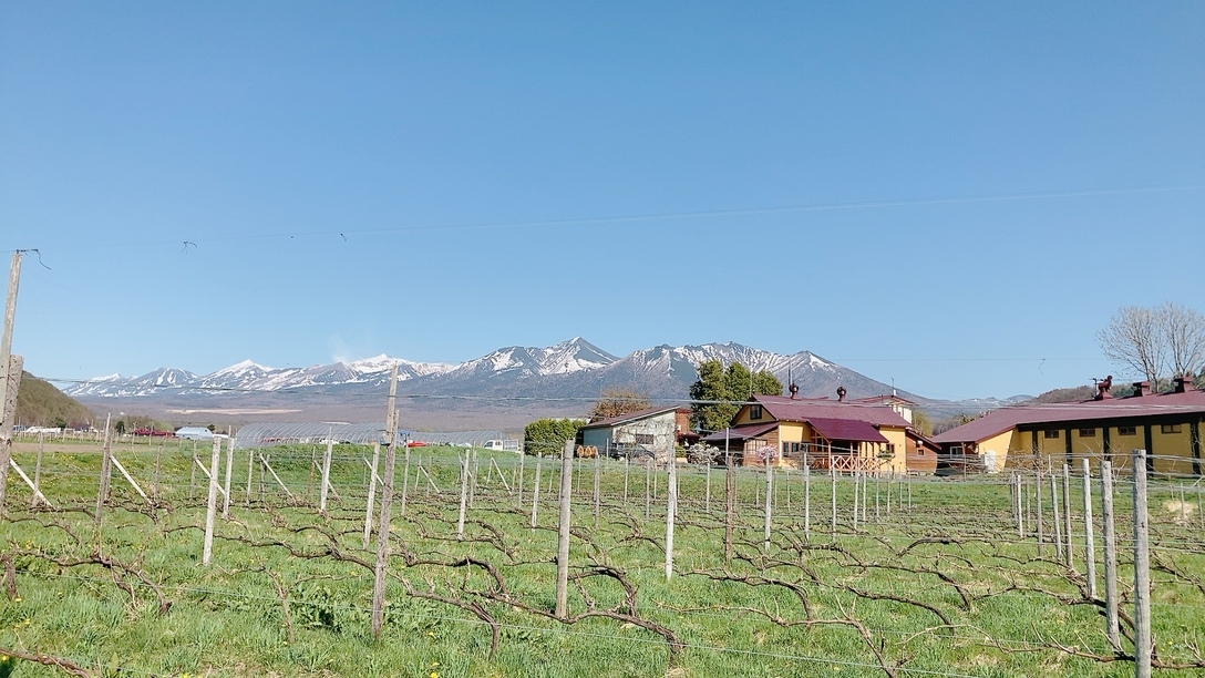 ぶどう・ワイン農園の宿【朝食付】自家栽培無農薬野菜の手作り朝食｜多田ワイナリーのワインorジュース 