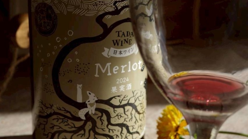 ■素泊まり■ワインのウェルカムドリンク♪