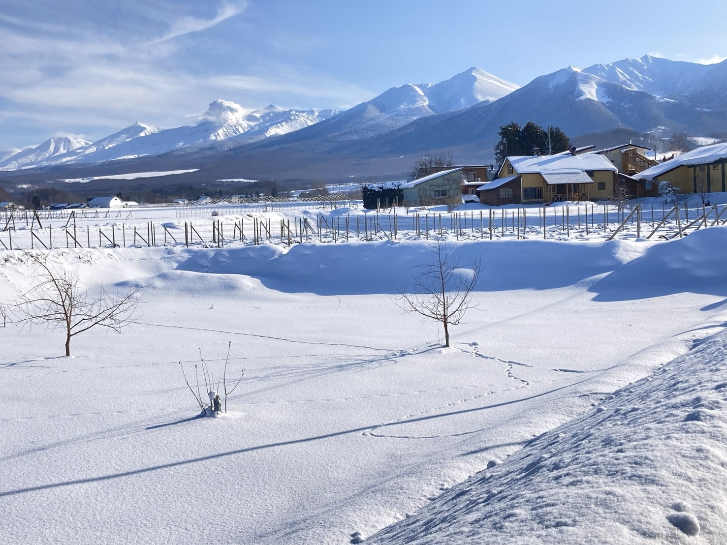 【富良野スキー場：車25分】ワイン用ぶどう農園の宿：素泊まり
