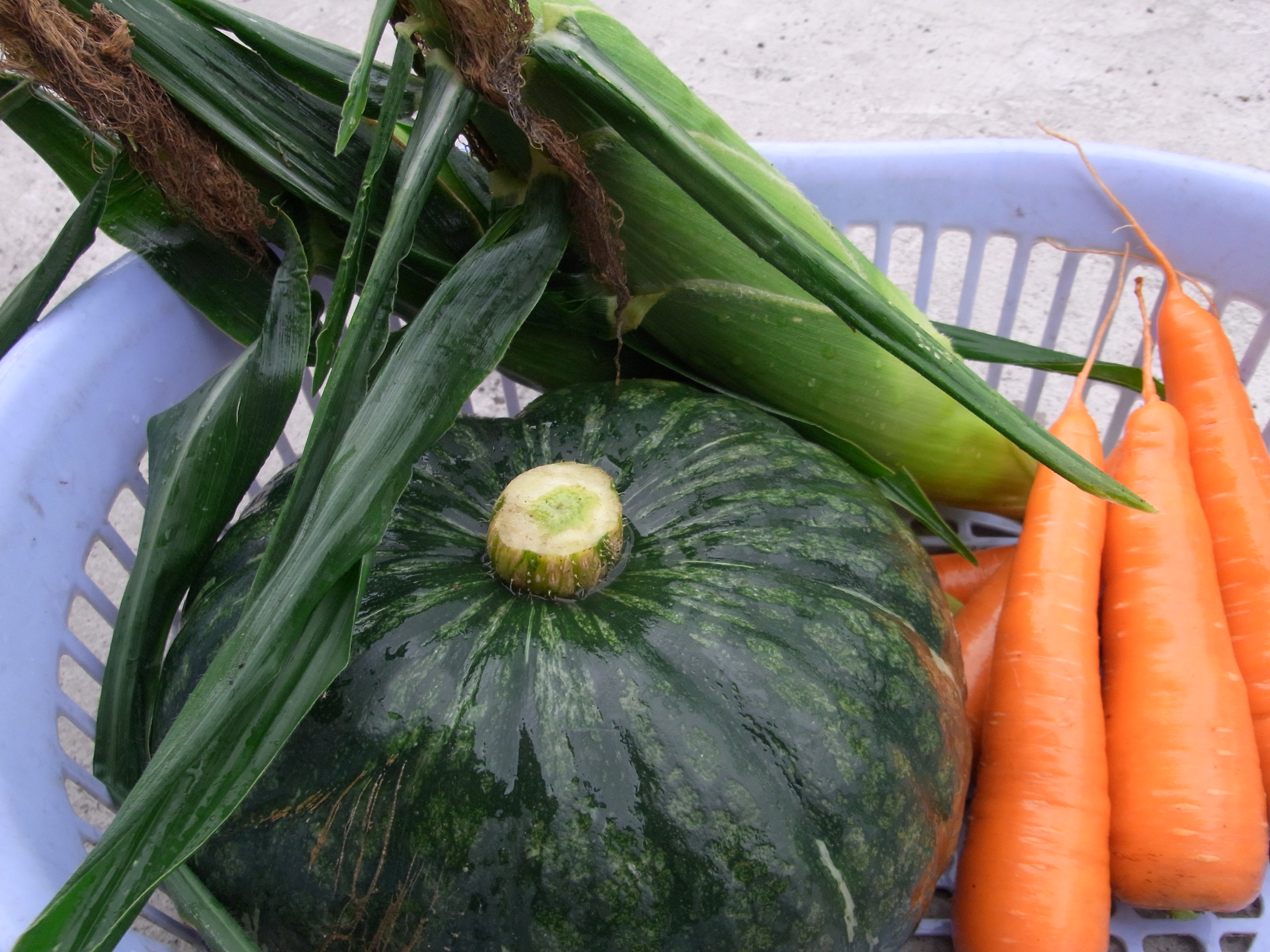 多田農園の野菜