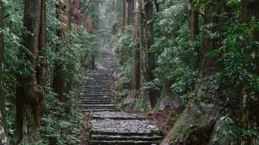 熊野古道（大門坂）