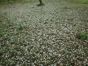 湯元 宝の家 写真・動画【楽天トラベル】