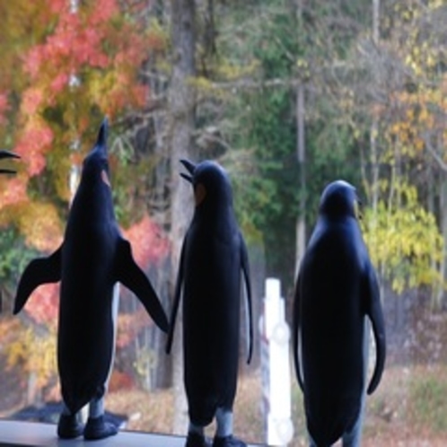 ■館内　外を眺めるペンギン