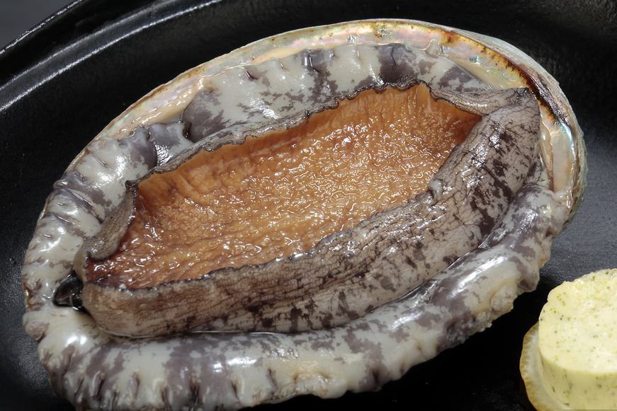 鮑陶板（イメージ）