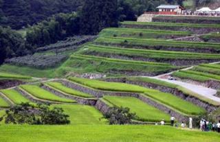 坂折棚田