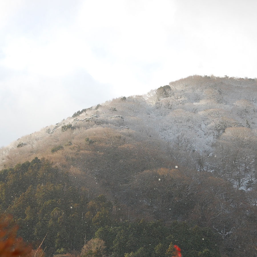 うっすら雪化粧の養老山