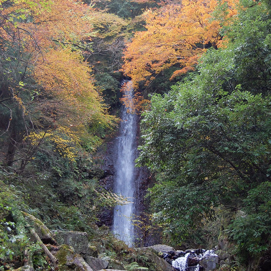 養老の滝