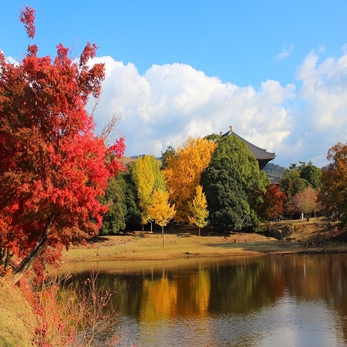 紅葉（奈良公園）