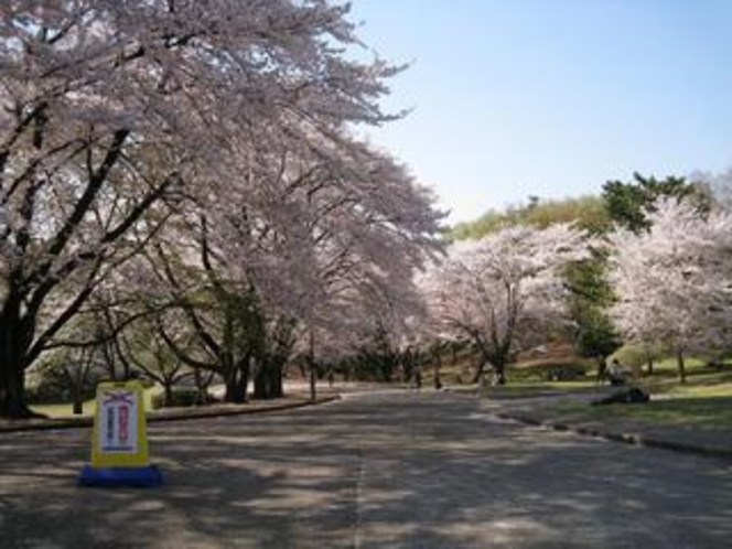 稲荷山公園