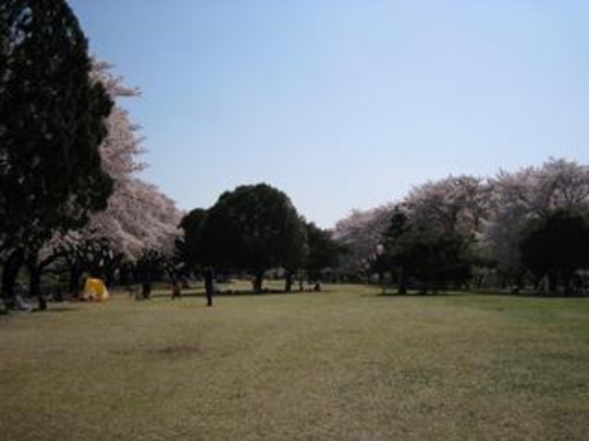 稲荷山公園