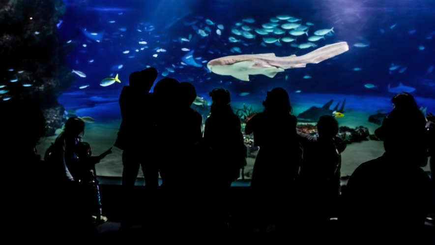 サンシャイン水族館