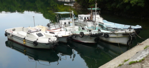 旅館 浮島 渡鹿野島 写真 動画 楽天トラベル