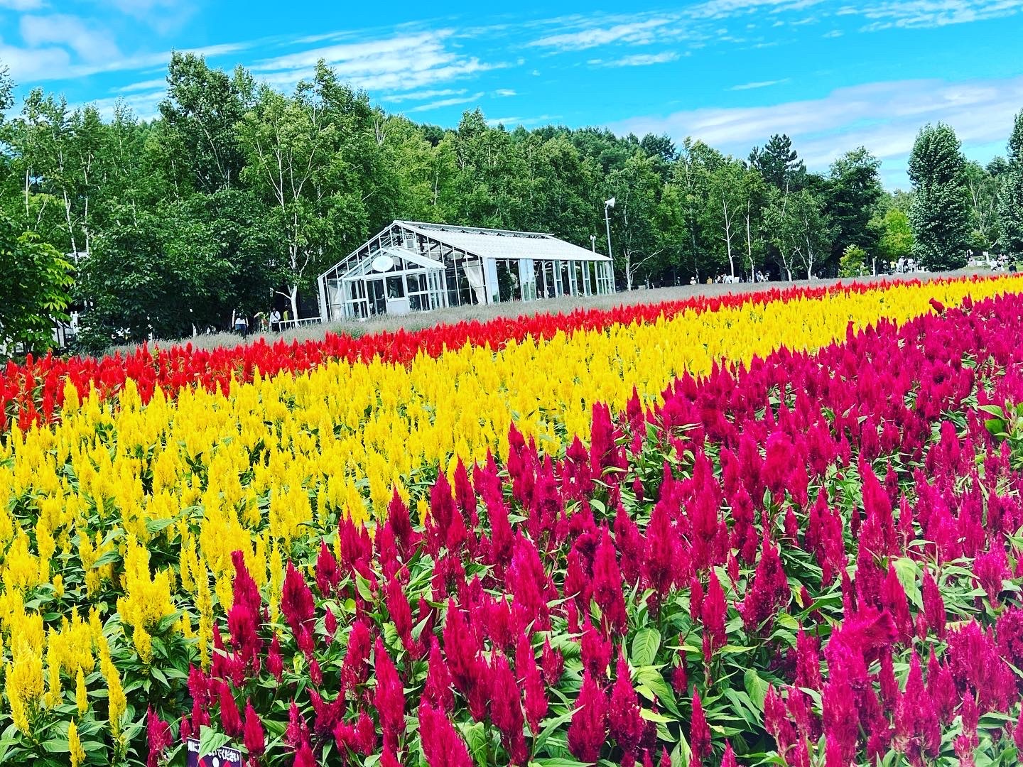 Hokkaido