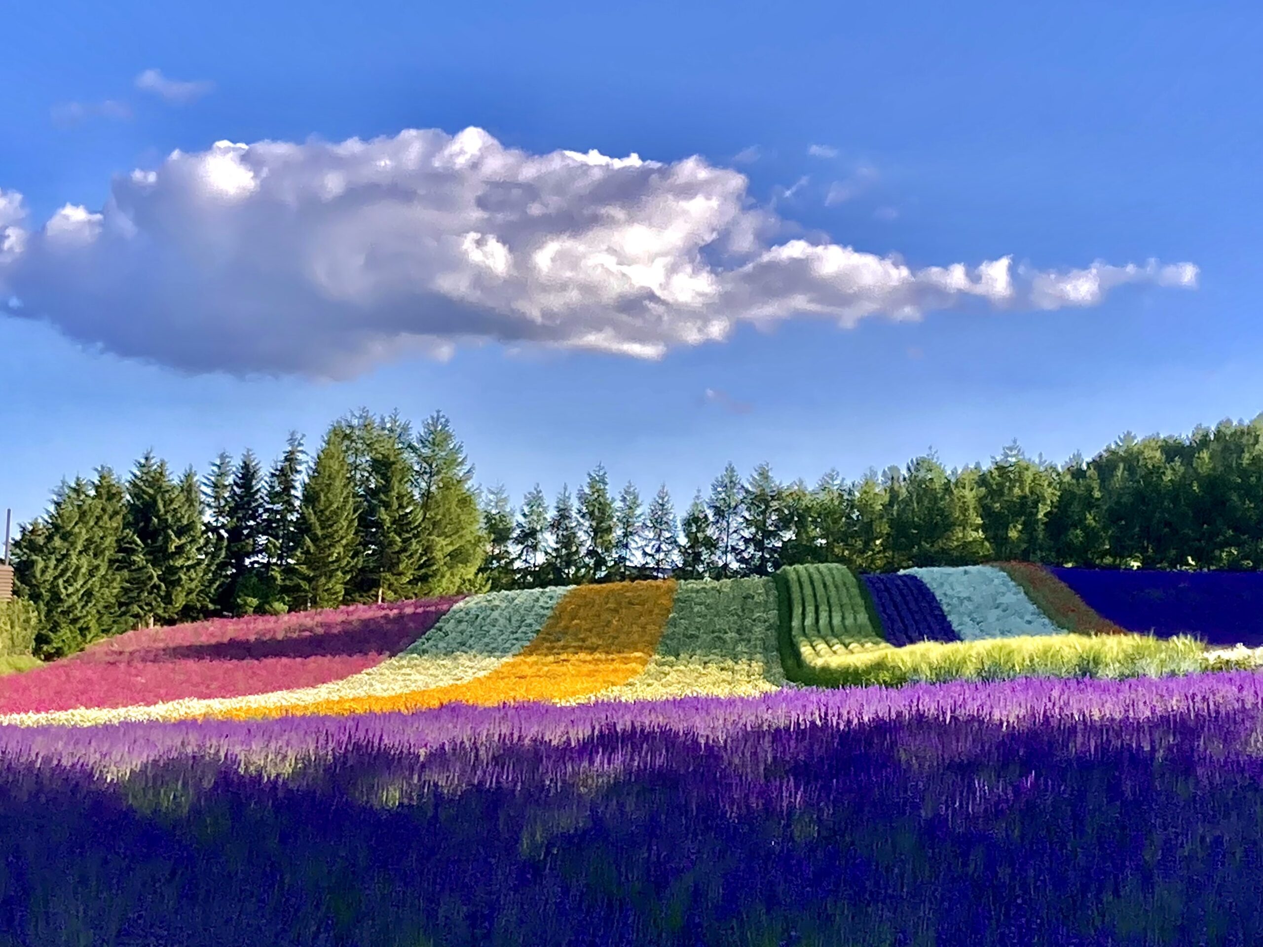 Hokkaido