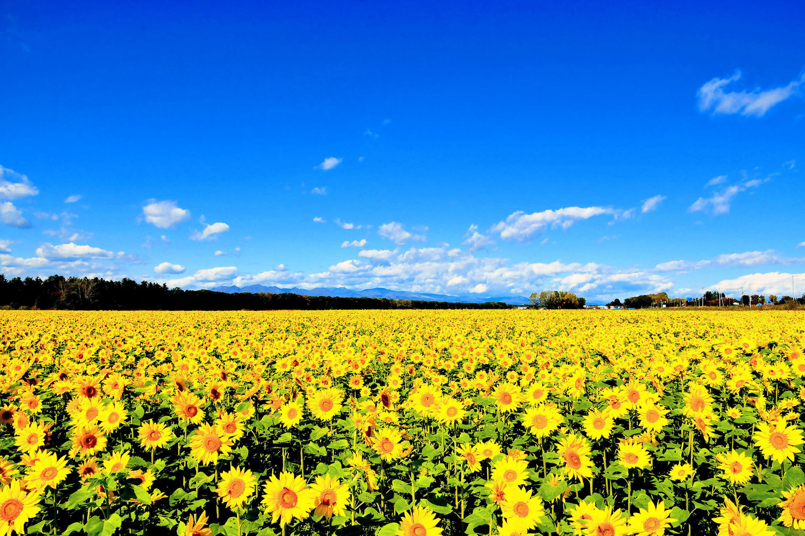 Hokkaido