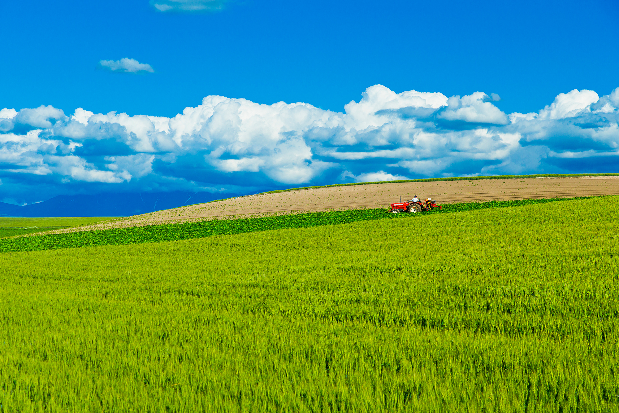 Hokkaido