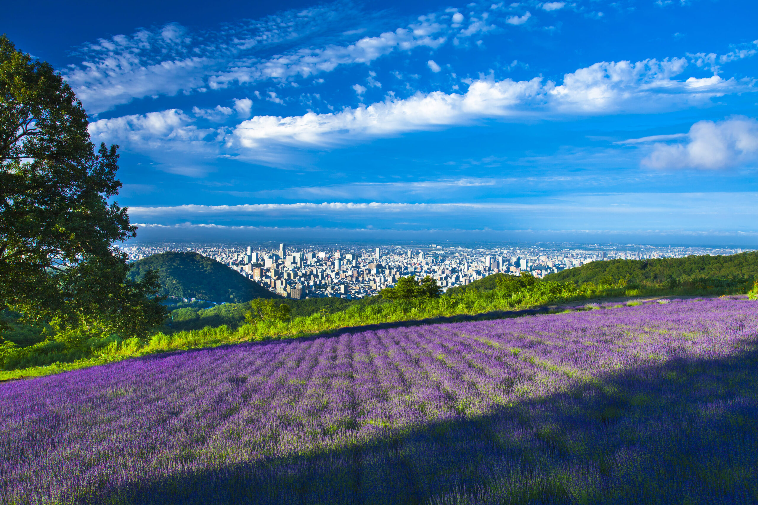 Hokkaido
