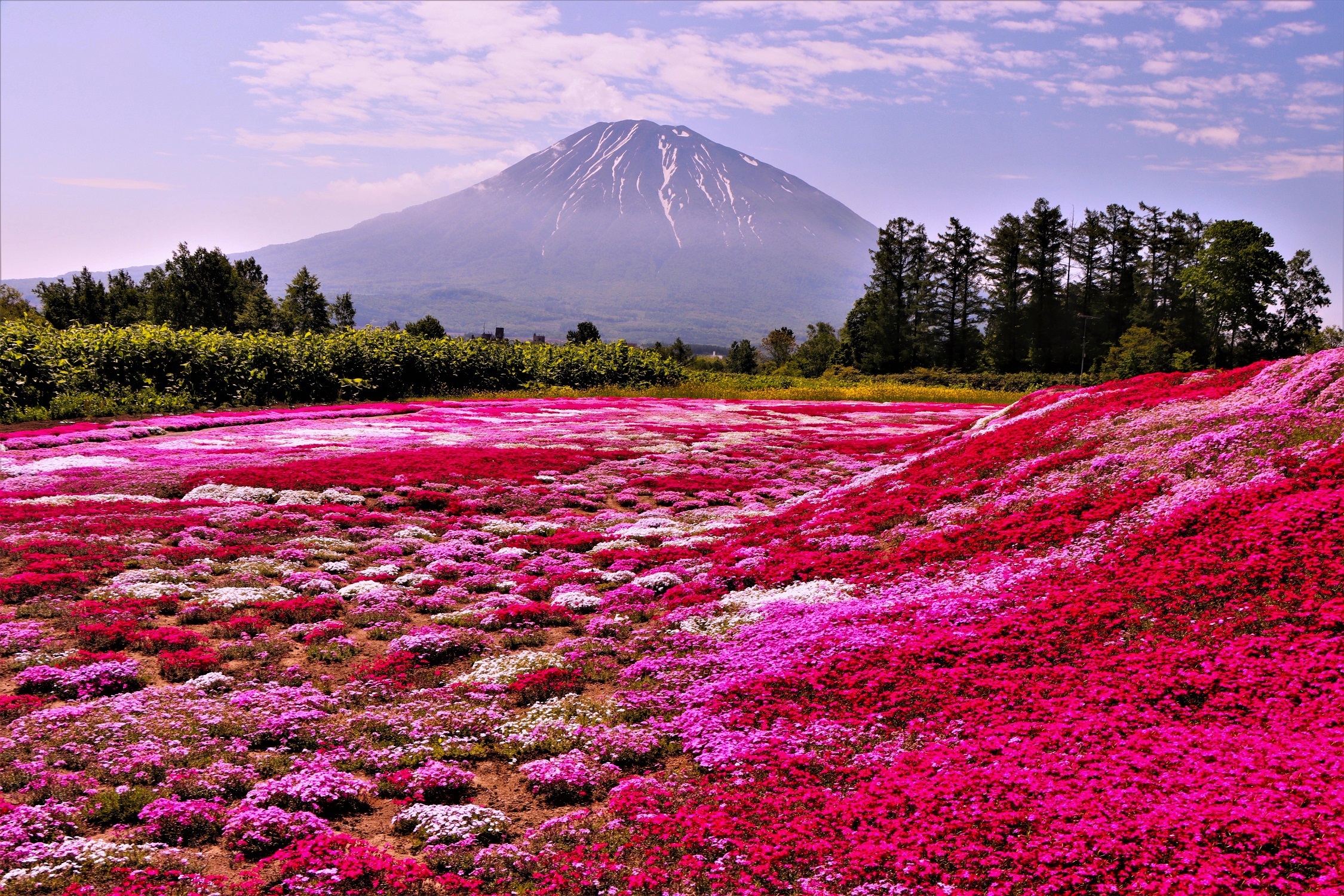 Hokkaido