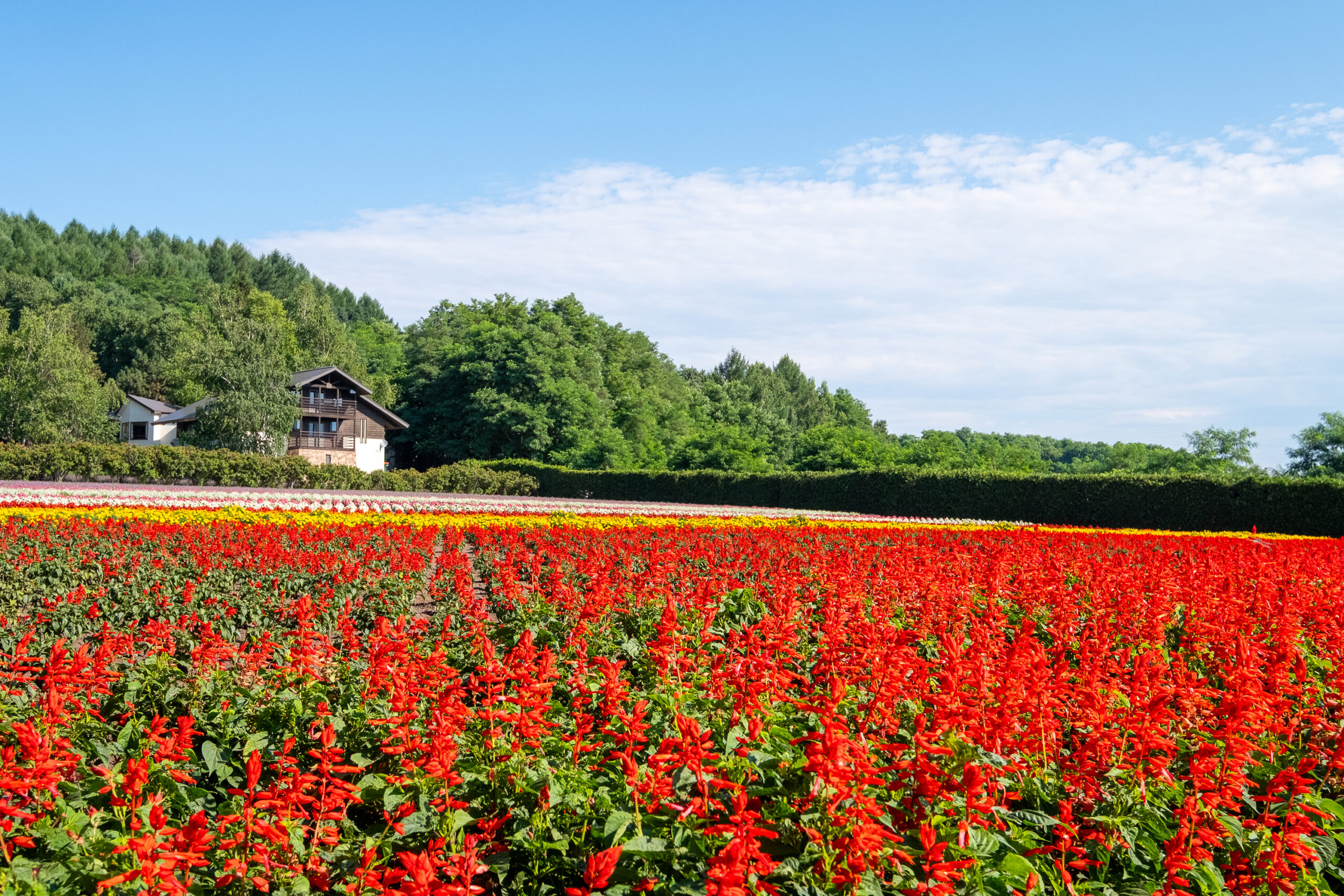Hokkaido