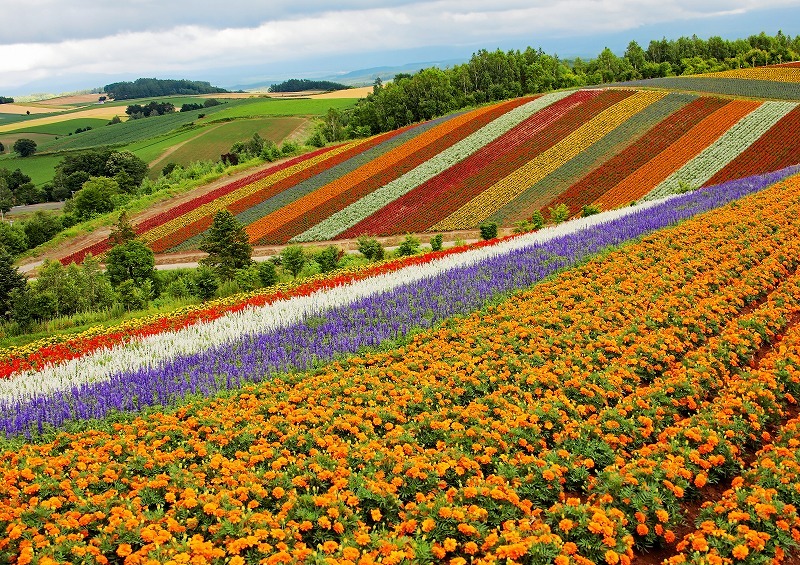 Hokkaido