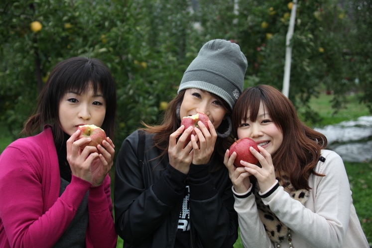 志賀高原の麓ではりんご狩りや果物狩りが楽しめます。