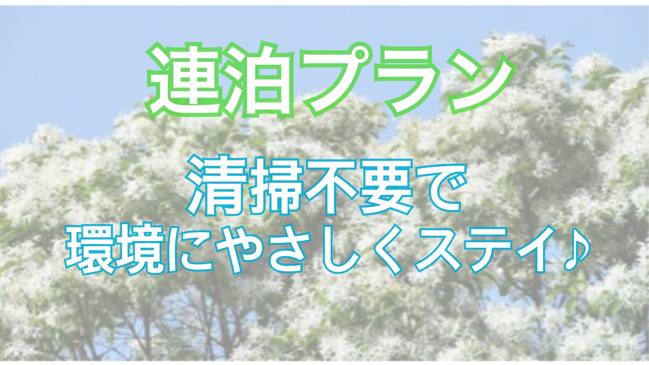 【清掃不要・連泊プラン】ご滞在中の清掃不要で環境にやさしくお得にステイ♪＜食事なし＞