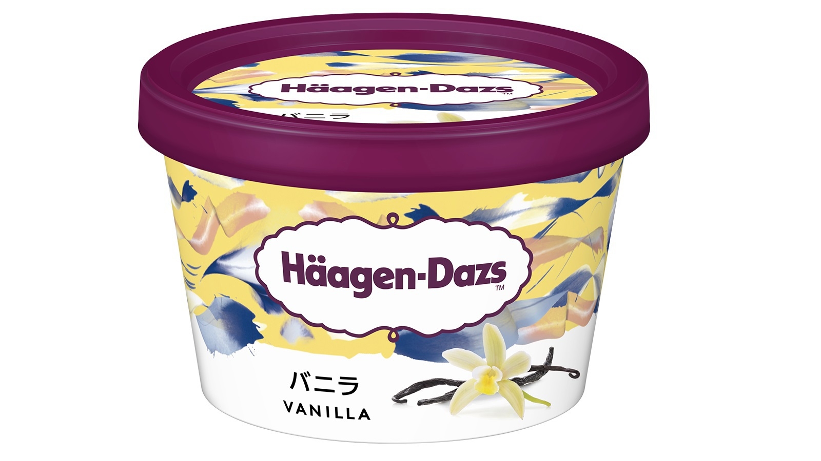 【お風呂あがりにアイスクリーム♪】ハーゲンダッツアイスクリーム付きプラン＜食事なし＞