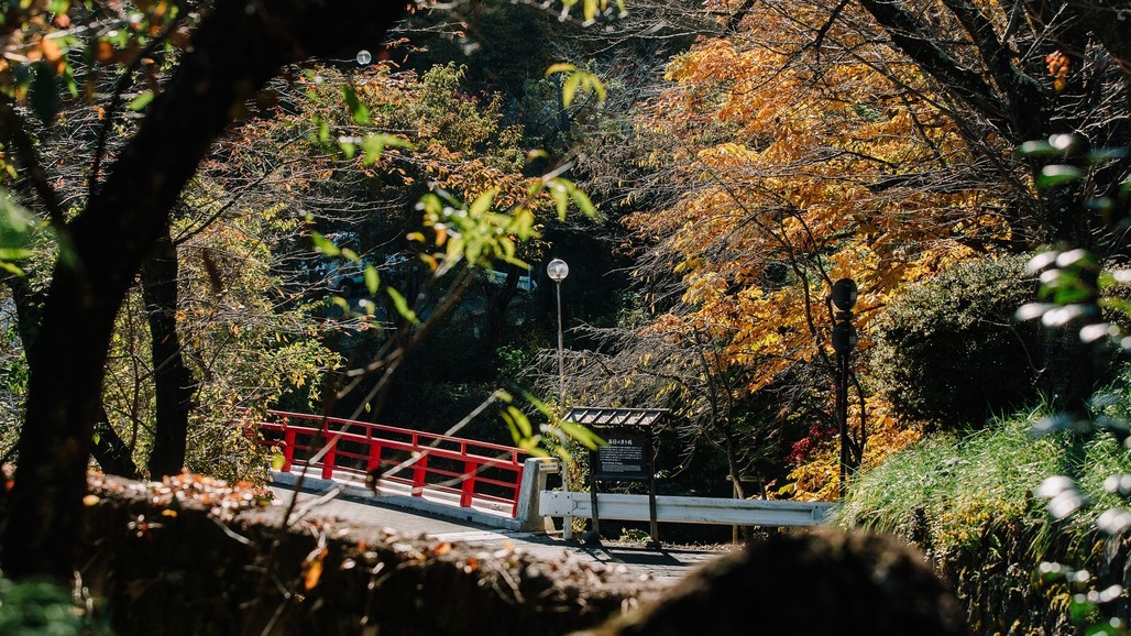 ご夕食は松茸小屋《二幸園》で松茸三昧♪無料送迎付きご宿泊プラン