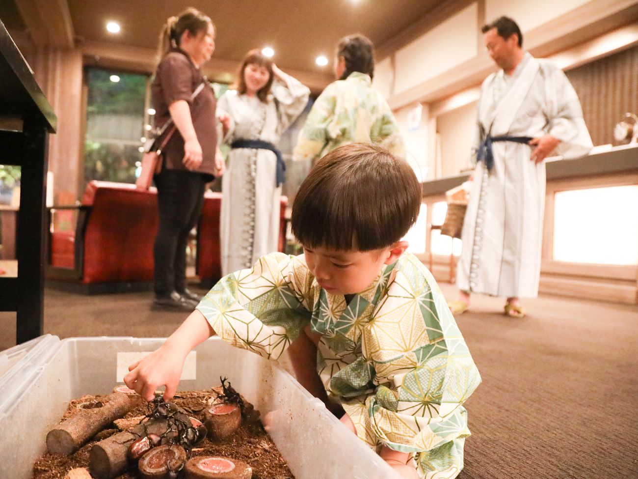 夏にはロビーにカブトムシもお待ちしております