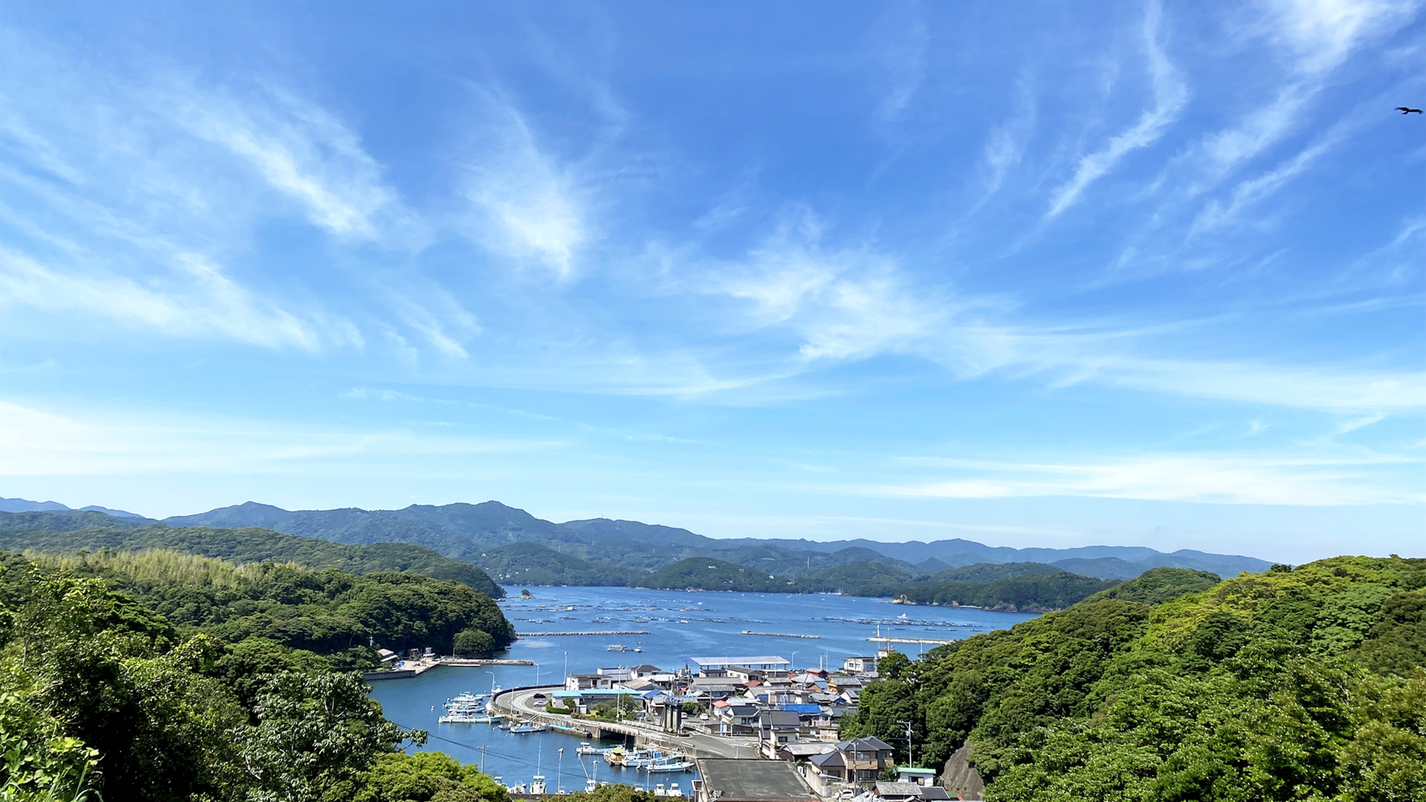 ニューはまぐち屋旅館 宿泊予約 楽天トラベル