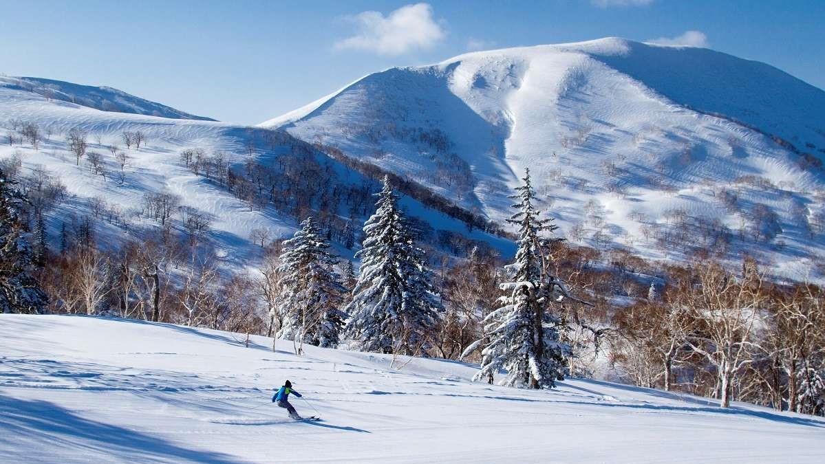 シェラトン北海道キロロリゾート 写真 動画 楽天トラベル