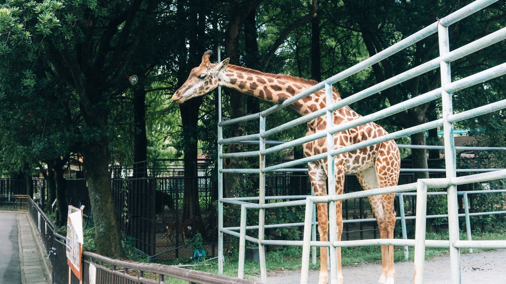 熊本市動植物園