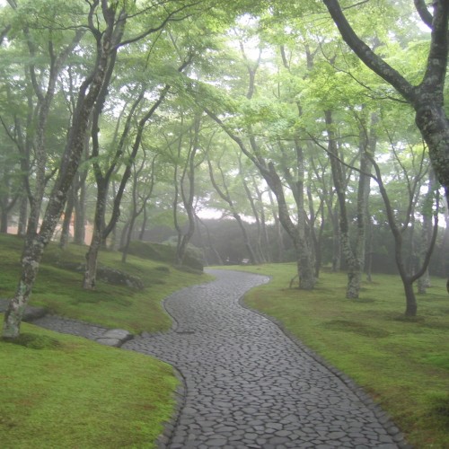 梅雨時期の箱根美術館