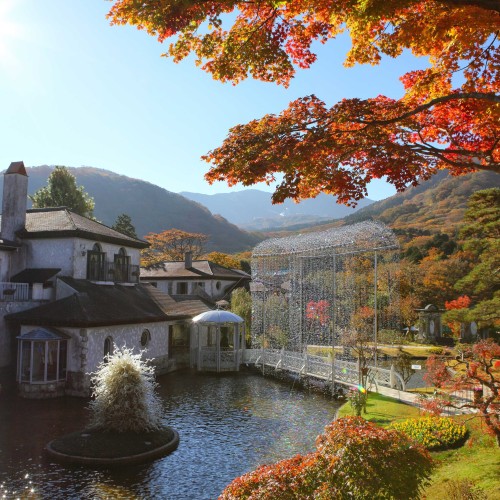 箱根ガラスの森美術館　紅葉（お車で２０分）