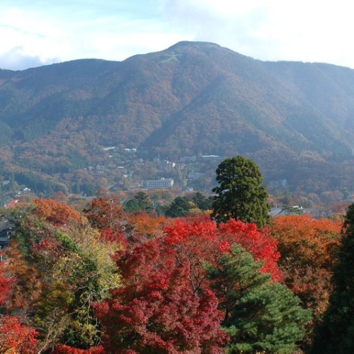 紅葉に染まる明星ヶ岳