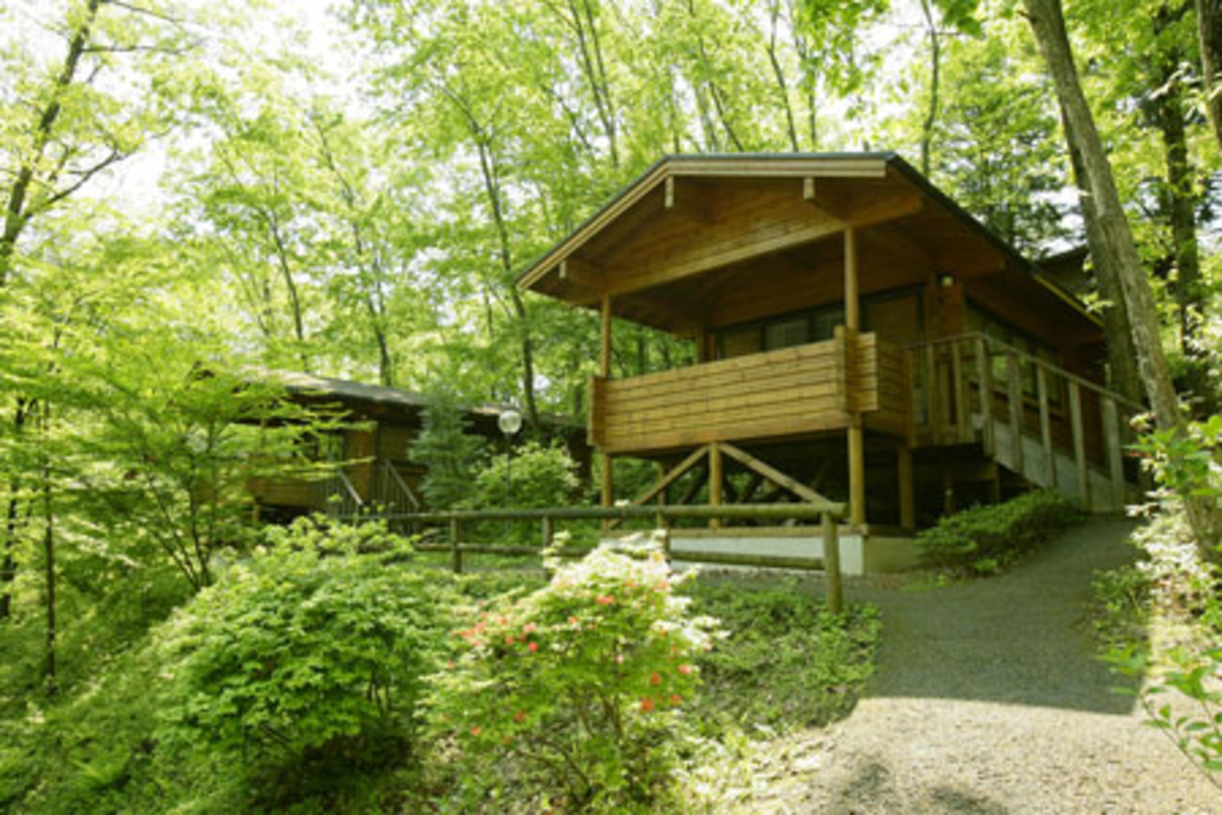 秩父ミューズパークスポーツの森 宿泊予約 楽天トラベル 秩父ミューズパークスポーツの森 宿泊予約 楽天トラベル