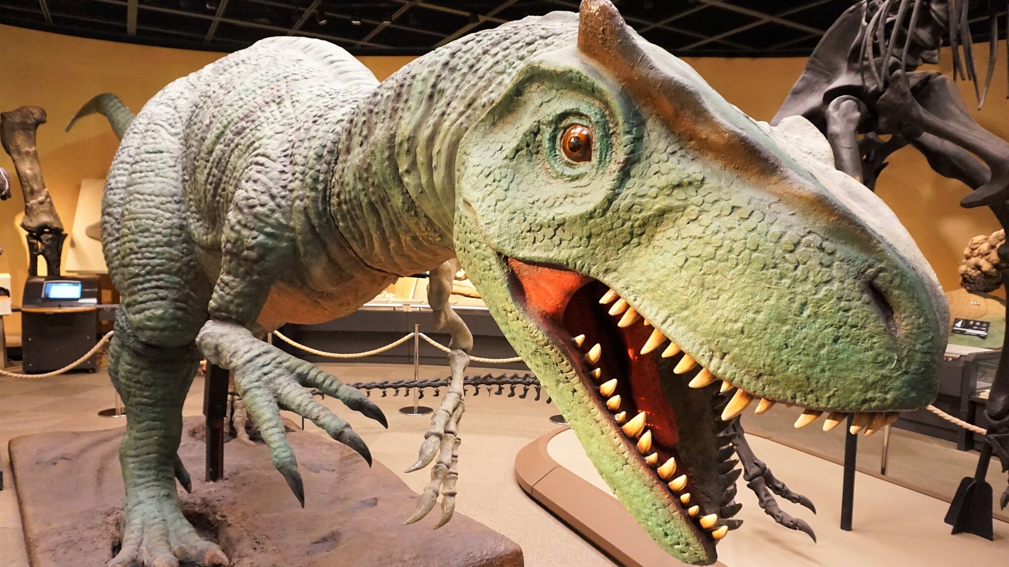 栃木県の自然や歴史が学べる「栃木県立博物館」