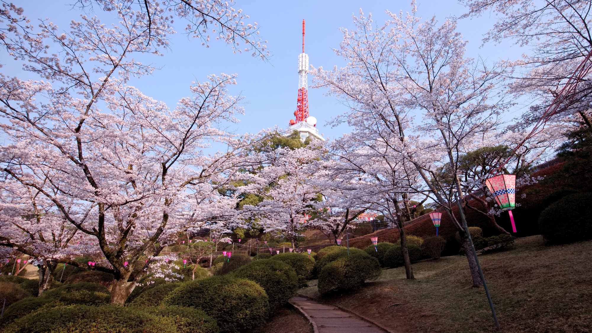 【当館から車で10分】展望台や大きな観覧車があり、市街地を一望できる「八幡山公園」