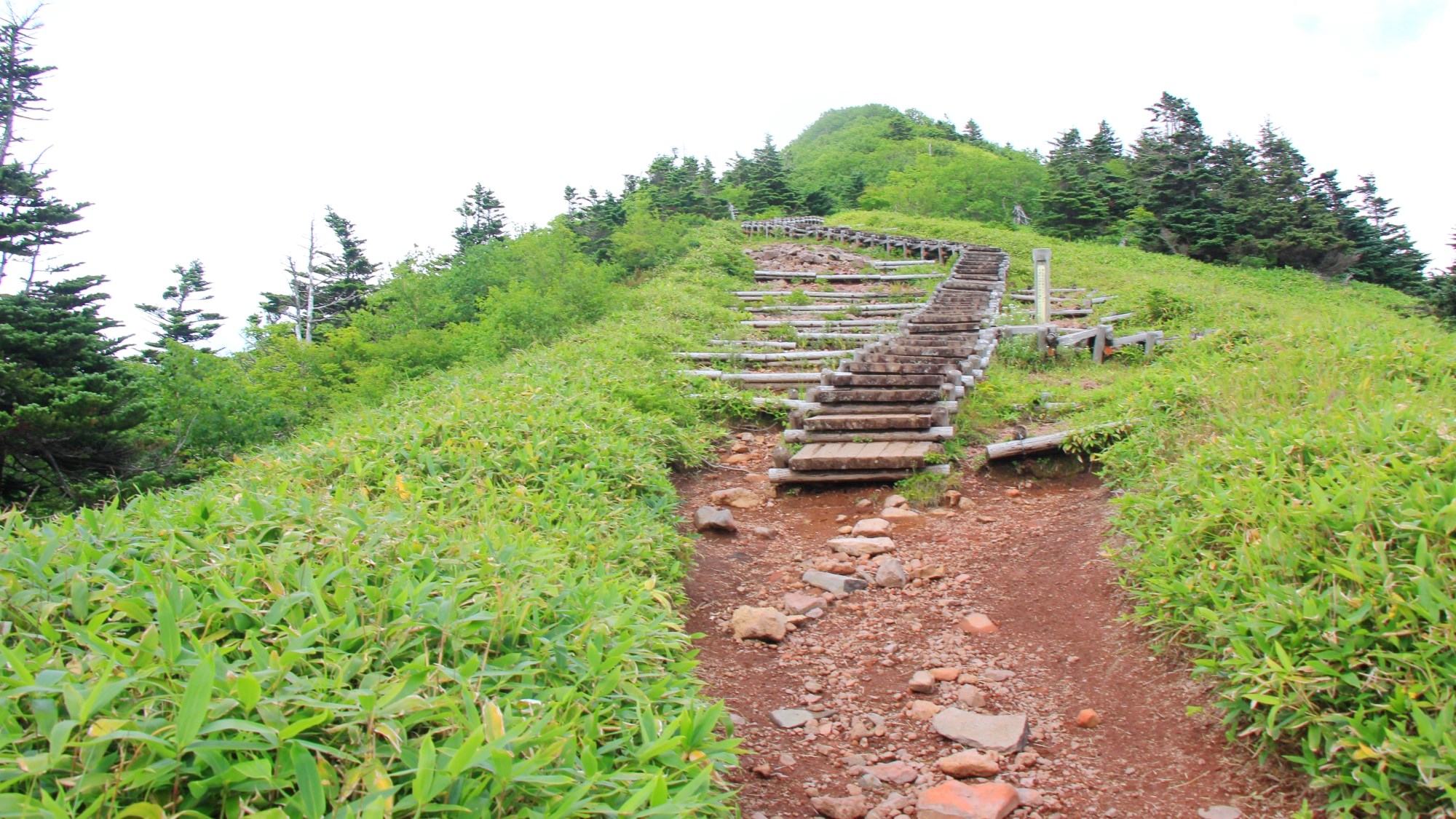 四阿山　山頂への道