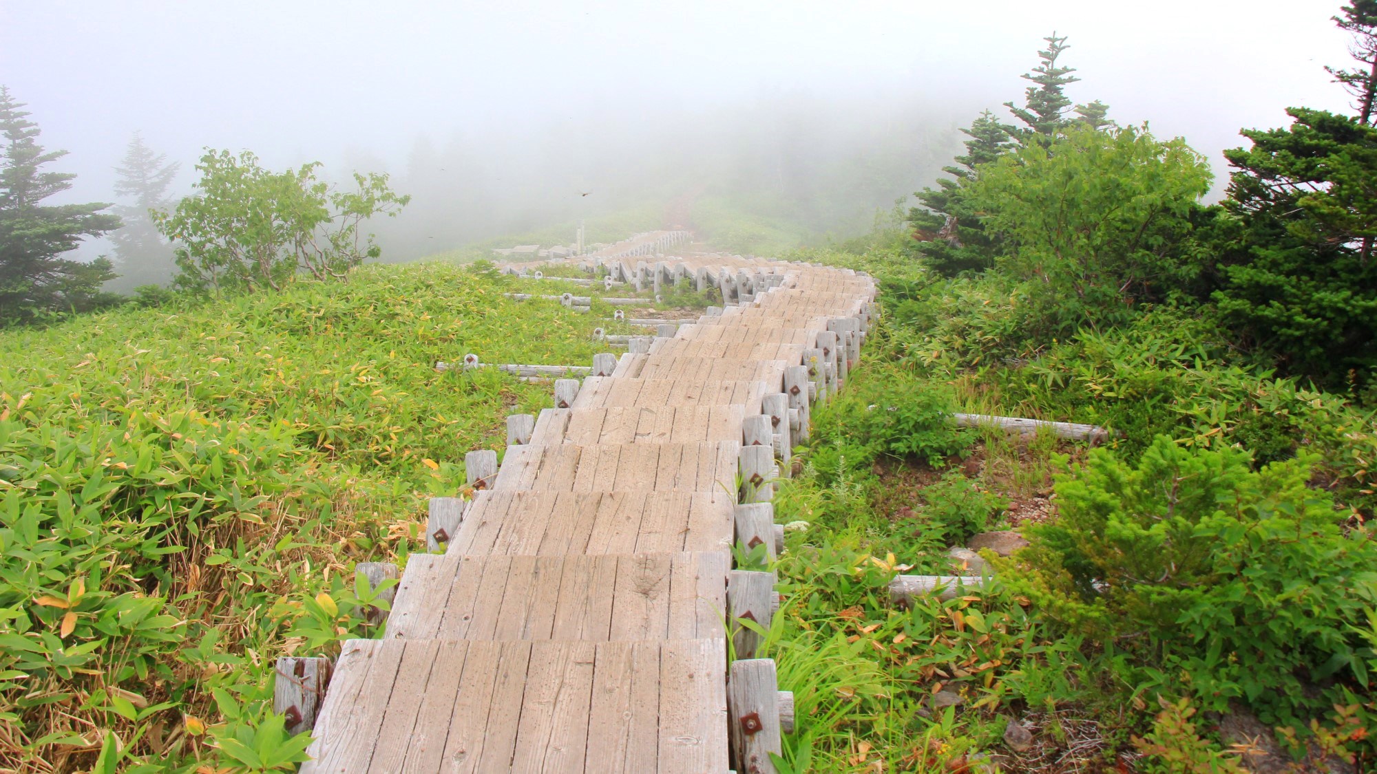 四阿山の植生保護の階段