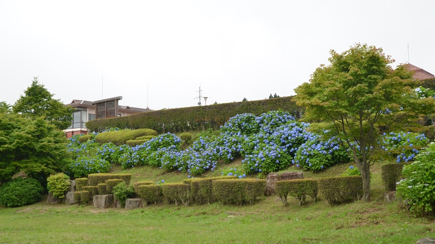 *【敷地内】あじさいの前は広場になっているので、天気が良い日はシートをひいてピクニック♪