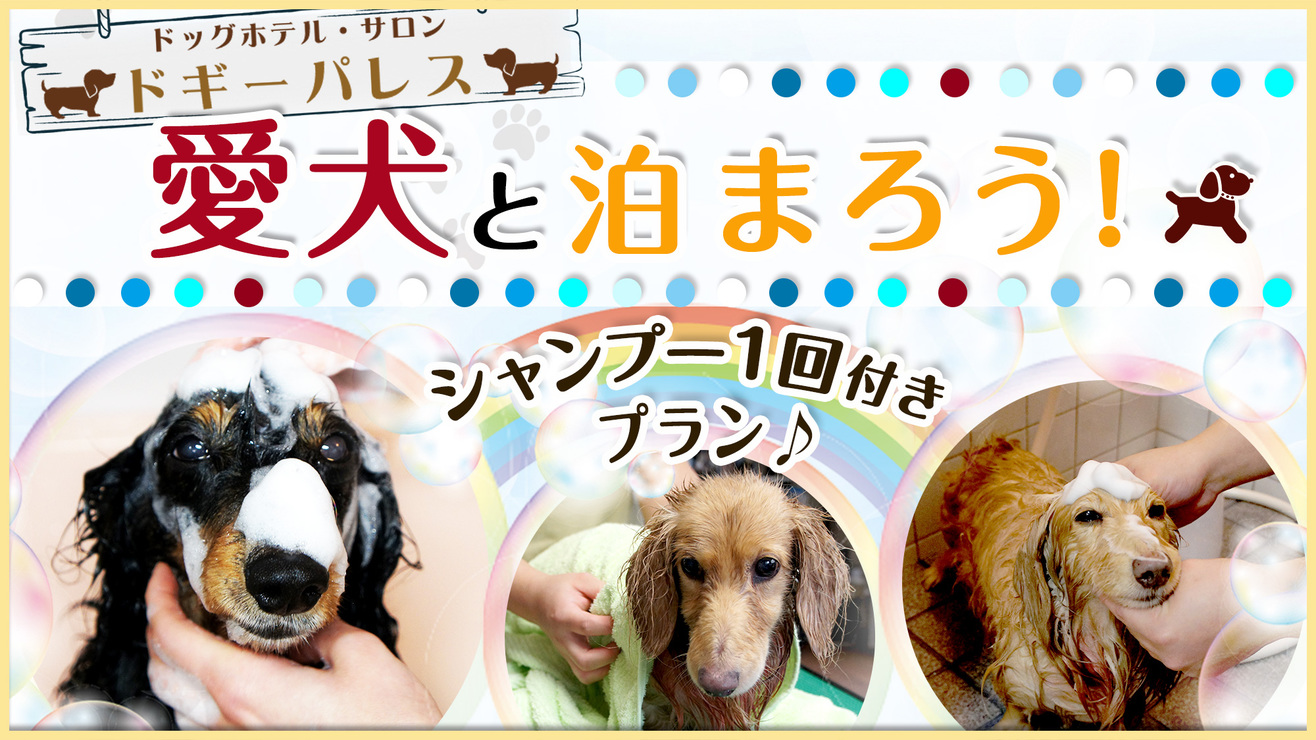 【愛犬と泊まろう】＼ワンちゃんもリフレッシュ／シャンプー1回付プラン☆素泊まり