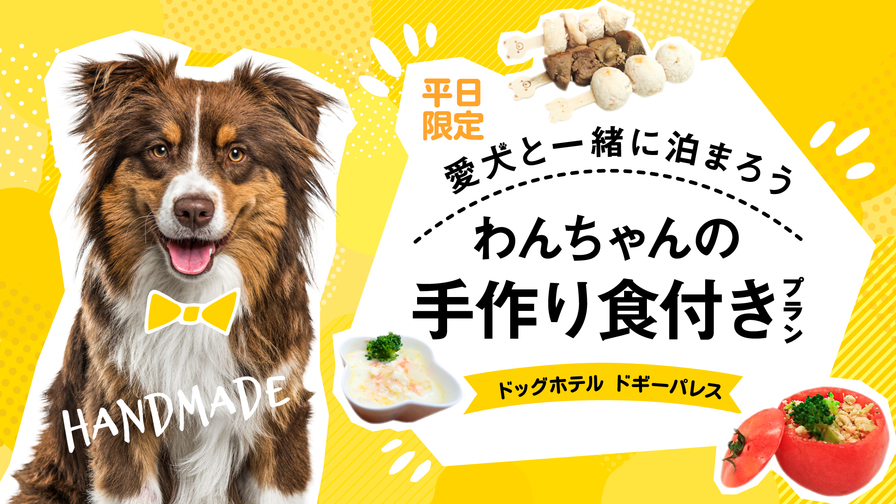 【愛犬と泊まろう】＼平日限定／わんちゃんの手作り食付き☆素泊まり