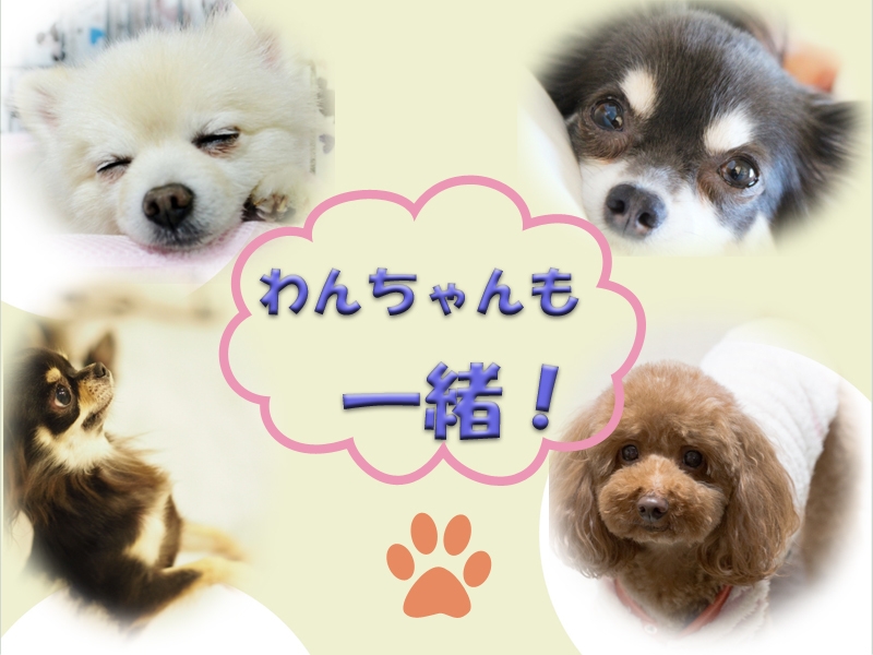 【ペット同室OK】夕食はわんちゃんと一緒に姉妹館「海潮園」で松葉ガニ料理プラン 