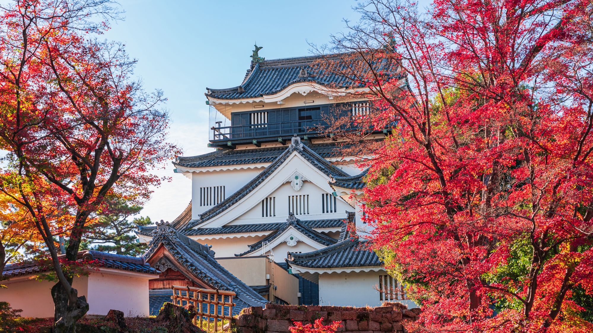 【当館から徒歩で１０分】徳川家康が生まれた城として知られ、歴史資料館としても楽しめる「岡崎城」