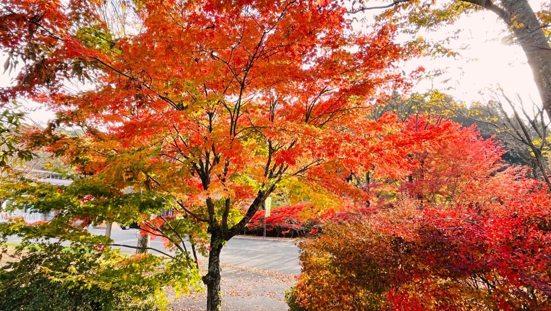 ドッグコテージ（ペット可）＜四季彩＞宿泊プラン　1泊2食14，180円〜　※期間7/17まで　