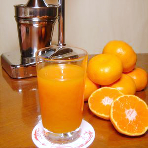 ご注文いただいてから絞るみかんジュースは格別の味です。
