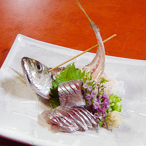 当地一押し 相模湾の鯵の姿作り