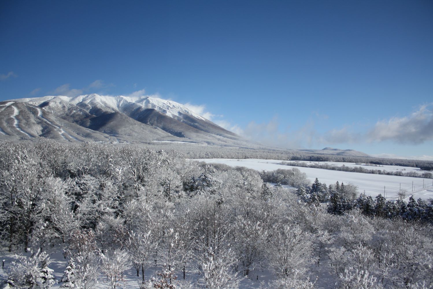 【岩手山】冬の岩手山。和洋室や和室、トリプルルームからご覧いただけます♪